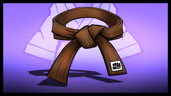 Brown Belt