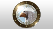 The Chocobo's Savior