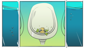 Urinal The Wrong Places