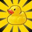 Small aquatic bird of the family Anatidae