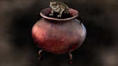Witch Recipe