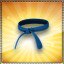 Get one Blue Belt