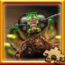 Bug