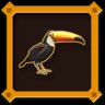 Toucan