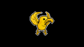 Boss Fights Mode: Gold Griffin