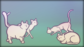 Found 260 cats