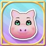 Pig Friend Wonder
