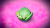 Cabbages