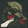 Food Forager
