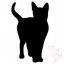 Felinae 