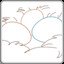 Nest