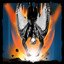 Terminal Velocity