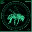 Extravehicular Activity