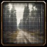 Ghost Forest