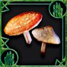 Mushroomed
