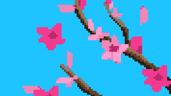 Pink Spring