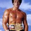 The Italian Stallion