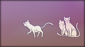 Found 340 cats