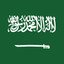 INVEST IN SAUDI ARABIA