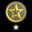 1 Star Platinum Medals