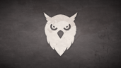 Night Owl
