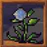 Plant lover!