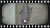 This is fishy!