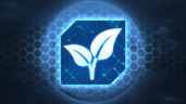 Seeds of Life