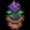 Decorator