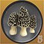 Mushroom Hunter Level 5