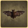 Bat