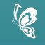 The Butterflies