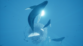 Leviathan