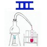 I1 Trophy: Botany Lab Caves 3