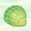 Collect 15 shells