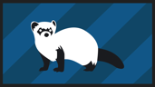 Ferret