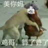 鸡哥 算了算了
