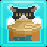 Catman