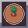 Potato Farmer