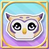 Owl Admirer Wonder