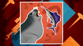 Something Fishy