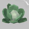 Cabbage