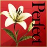 Perfect Auction 7