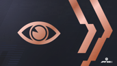 Watchful Eye