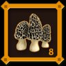 Mushroom Hunter Level 8