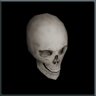 Skull Found