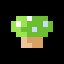 The Mushroom