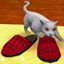 Target: slippers