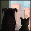 Friends - II