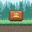 Play Multiplayer